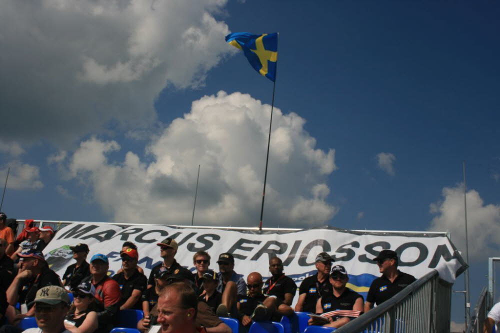 14-Schwedenfans II